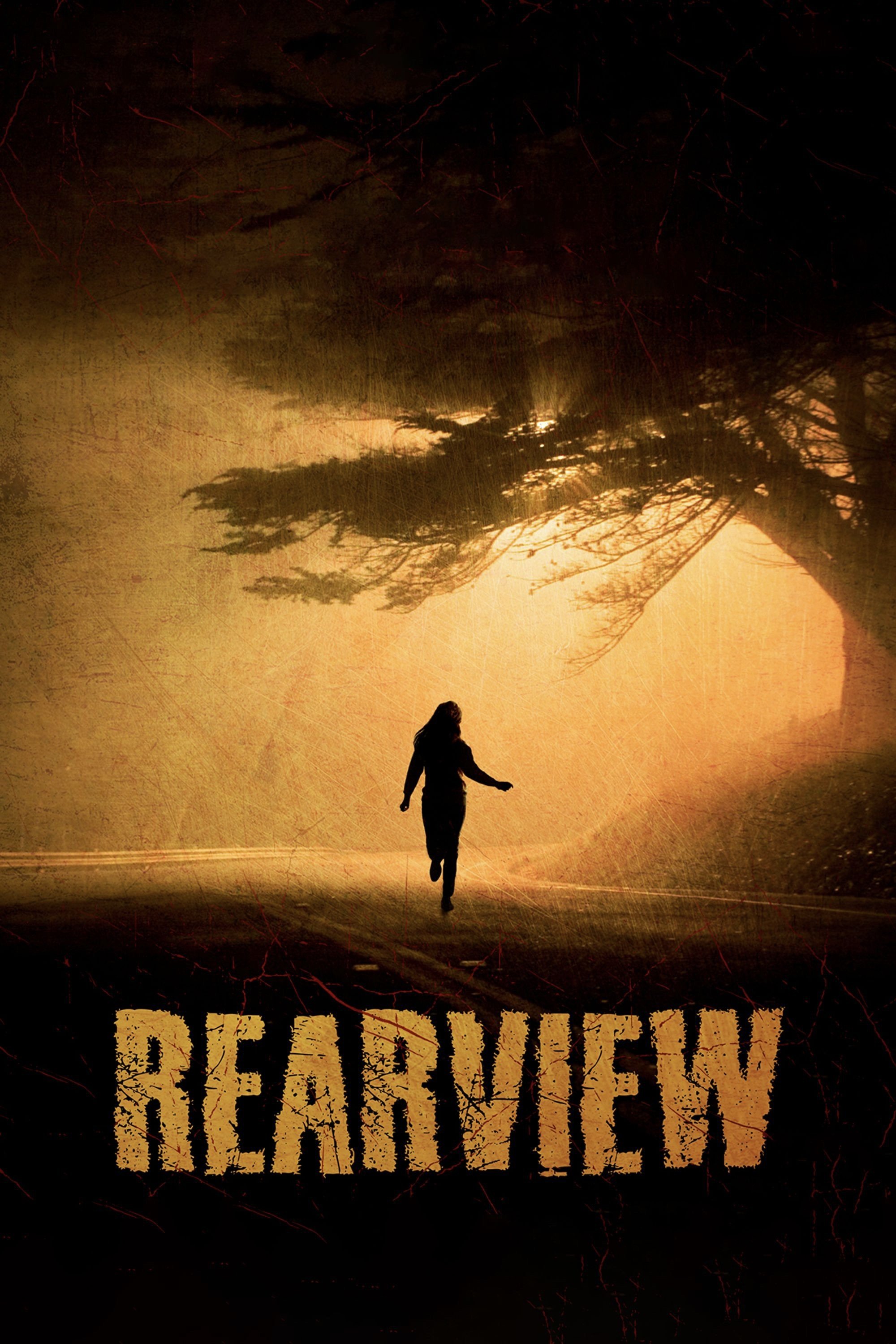 Постер Rearview